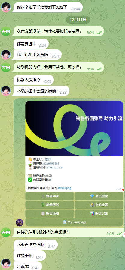 image-20251211163756297