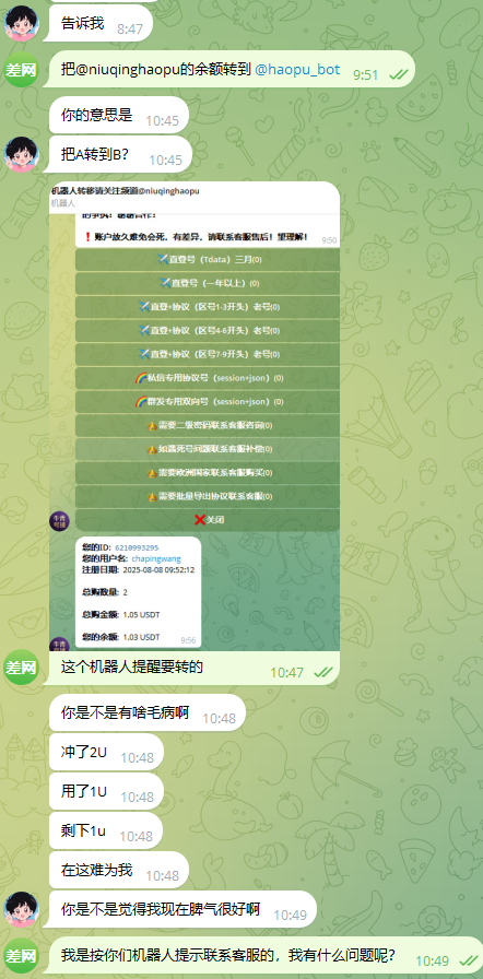 image-20251211170226405