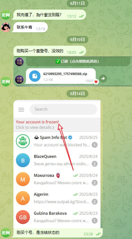 image-20251211170511670